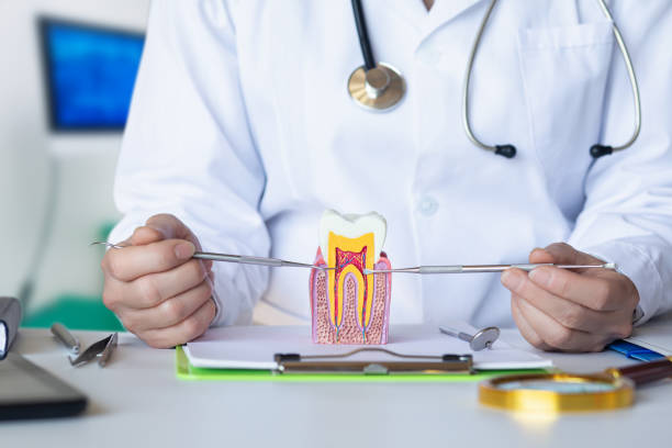 Best Root Canal Emergency Dentist  in Worth, IL